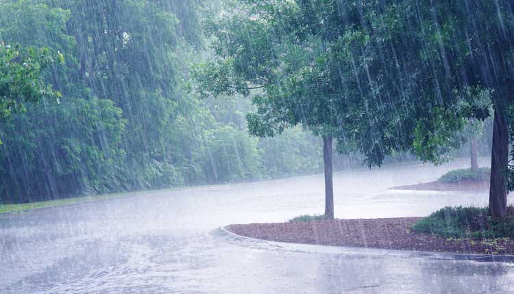 ଆସୁଛି ପୁଣି ଆଉ ଏକ ଲଘୁଚାପ ଚାଷୀ ମୁଣ୍ଡରେ ଚଡ଼କ