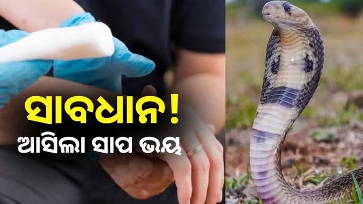 ସଚେତନତା ଅବଲମ୍ବନ କରନ୍ତୁ …ସର୍ପାଘାତ ରୁ ରକ୍ଷା ପାଆନ୍ତୁ