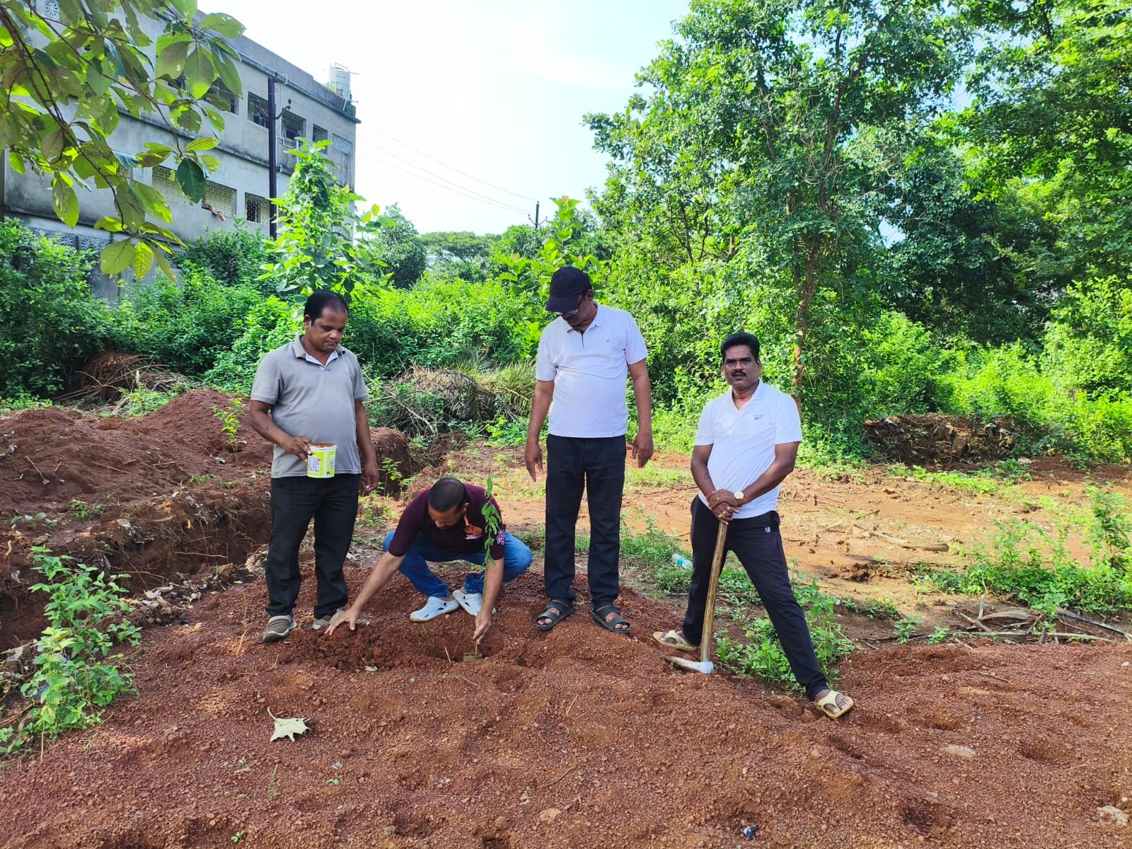 Medicinal and Utility Saplings Including Amla, Teak and Sissoo Planted on Press Club Premises